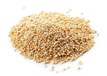 Amarnath Seeds
