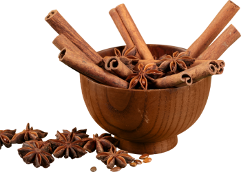Cinnamon Cigar