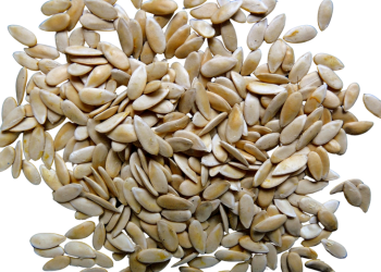 Musk Melon Seeds