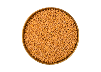 Yellow Mustard